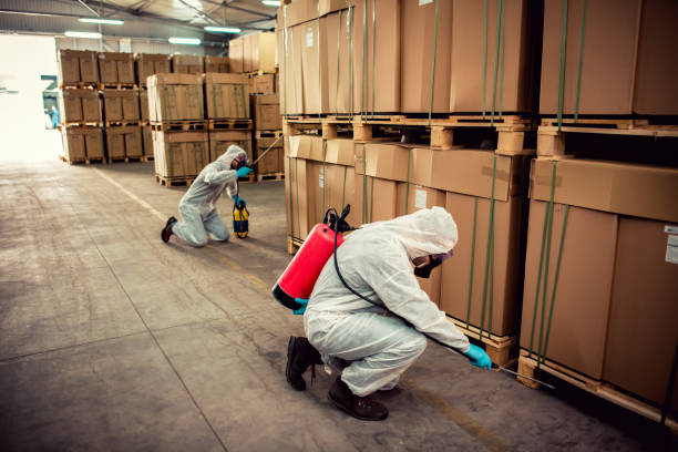  Escanaba, MI Pest Control Pros