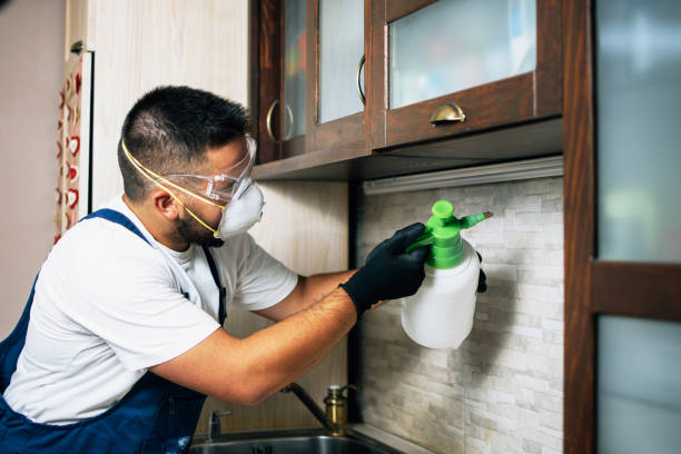 Best Affordable Pest Control Services  in Escanaba, MI