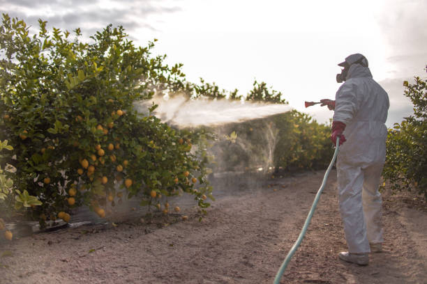 Best Best Pest Control Near Me  in Escanaba, MI