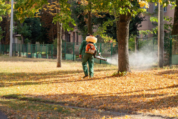 Best Residential Pest Control  in Escanaba, MI