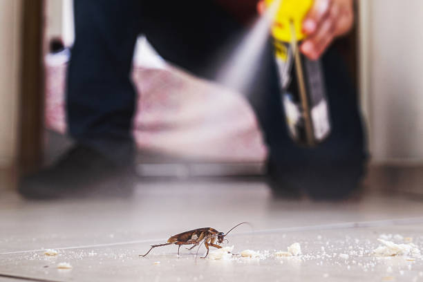 Best Pest Control for Businesses  in Escanaba, MI